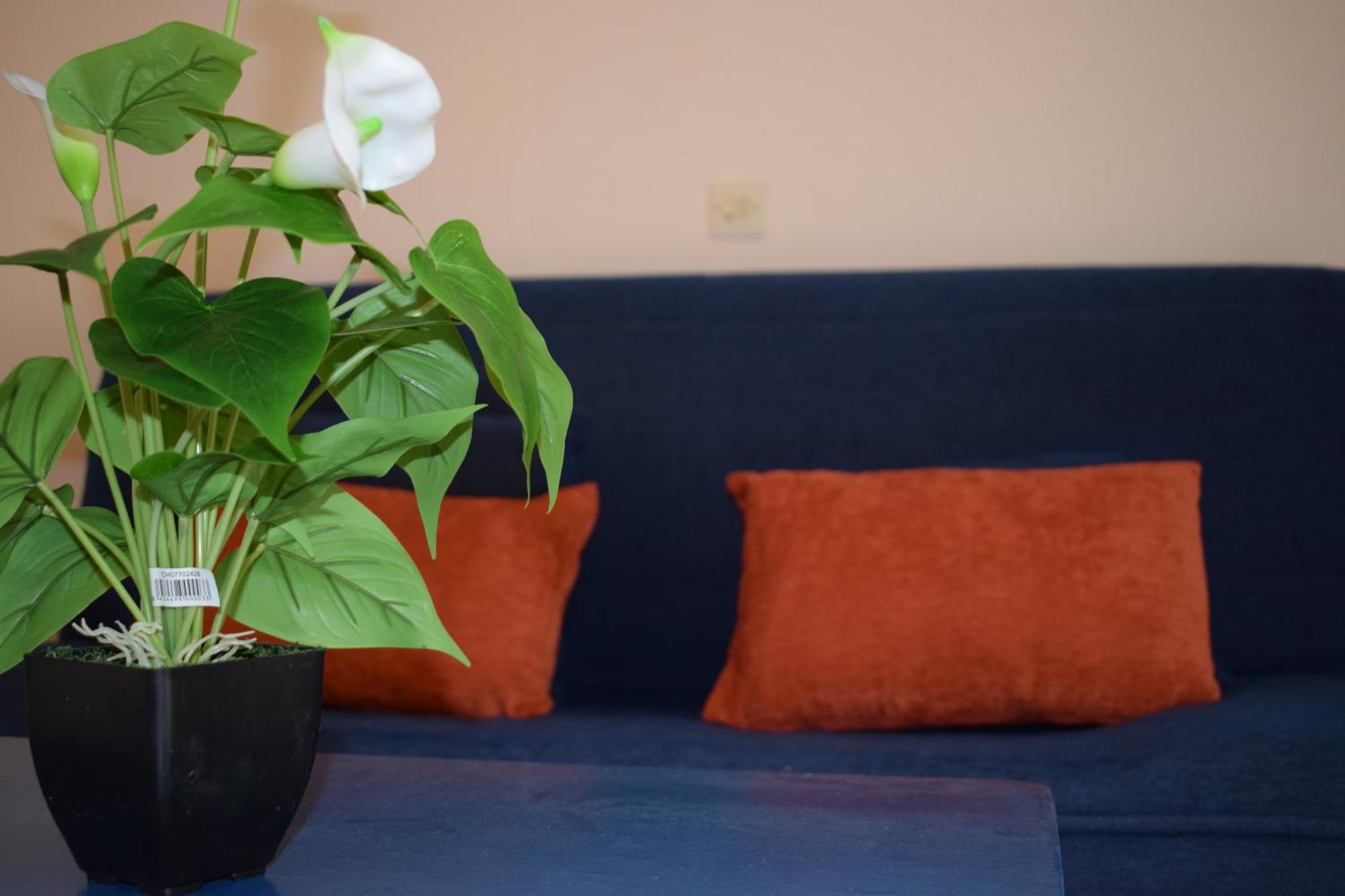 Paradisus Apartments Barbáti Kültér fotó